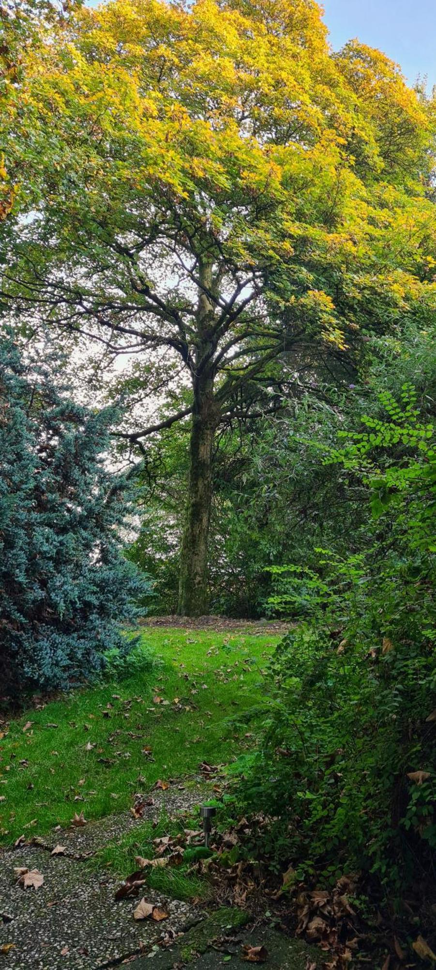 Rust En Stilte In De Natuur Onstwedde Екстериор снимка